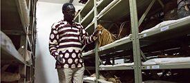 Dennis Opudo, der Leiter der Anthropologischen Abteilung des Nairobi Nationalen Museums, in der ethnografischen Sammlung des Museums