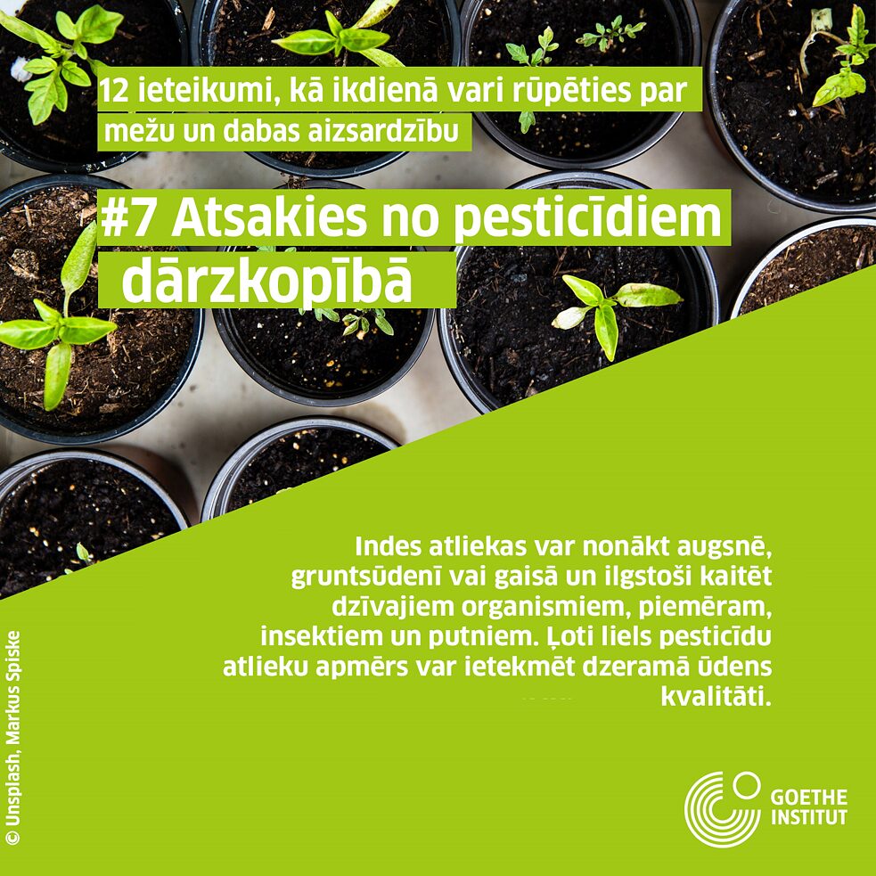 #7 Atsakies no pesticīdiem dārzkopībā