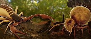 Crawl around with the woodlice on the forest floor: a VR app called “Abenteuer Bodenleben” (Soil Life Adventure) at the Senckenberg Museum of Natural Sciences in Görlitz scales the user down by 200 orders of magnitude to the size of a woodlouse to meet all sorts of other creepy-crawly inhabitants of the soil.
