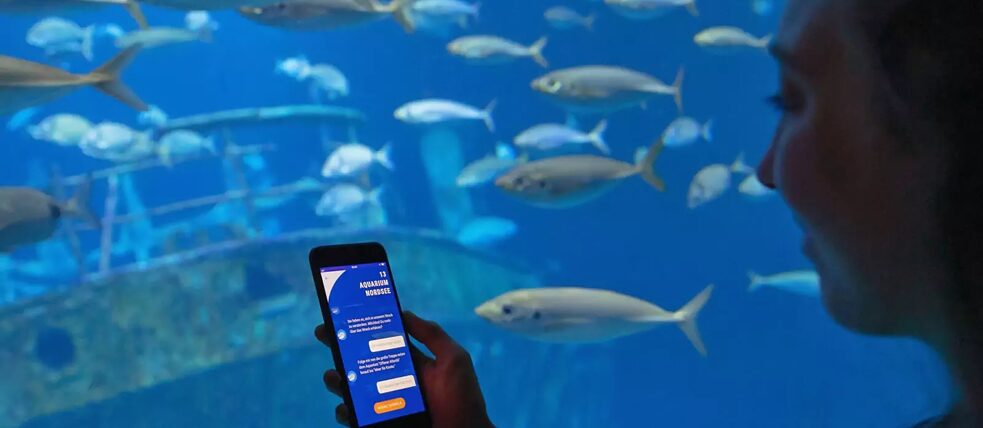 Berkelana bersama seekor porpoise: Para pengguna app di Oseanium Yayasan Museum Kelautan Jerman ditemani oleh avatar bernama Walfred. Sambil mencari ikan haring virtual, Walfred menjadi pemandu dengan mengajak mereka mendatangi serangkaian titik digital.