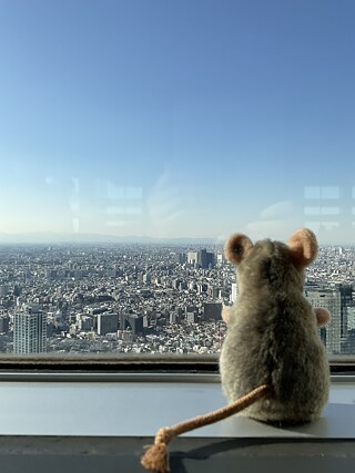 View from a greater height through a window onto a seemingly endless cityscape, in the foreground a stuffed animal (muas or rat?) from behind