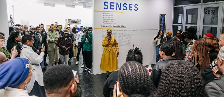 Senses Art Exhibition Opening Night - Goethe-Institut Johannesburg 