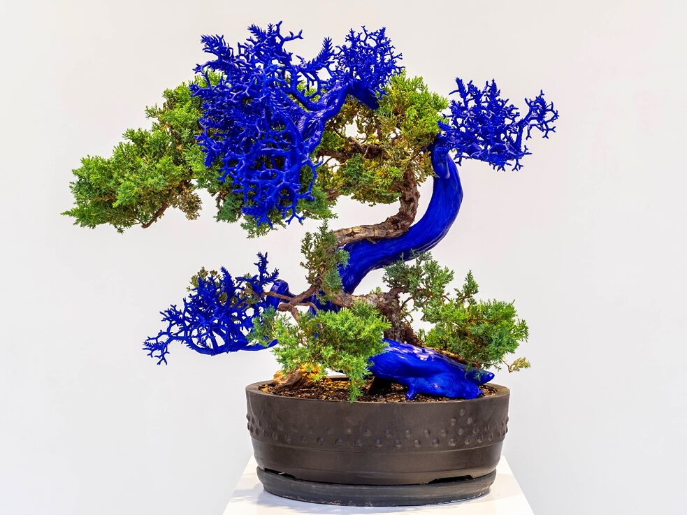 Ein von Agnieszka Kurant erstelltes Bild eines Bonsaibaums 