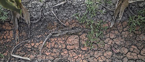 Cracks appear as traces of drought on land in Al-Buhaira. Detail from "We, the Living Dead, 2018"