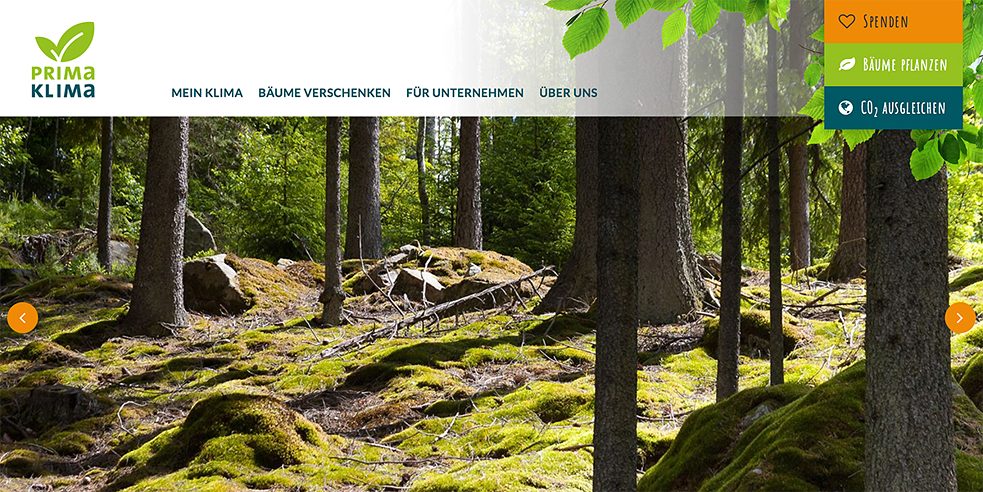 <b>Zasazené stromy jako dárek</b><br>Na webové stránce Primaklima e.V. si mohou uživatelé spočítat svou ekologickou stopu a darovat doporučenou částku na projekty zaměřené na ochranu klimatu. Primaklima navíc nabízí možnost darovat stromy druhým. Například už za 5 euro pořídíte vysazení stromu v Sasku, v Nikaragui to stojí eura 3. Obdarovaný dostane listinu s počtem a místem vysazení stromů, které rostou jeho jménem a proměňují CO2 v kyslík.