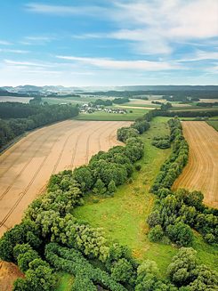 The Green Belt in Thuringia-Bavaria near Mitwitz where the idea for the Green Belt was born.