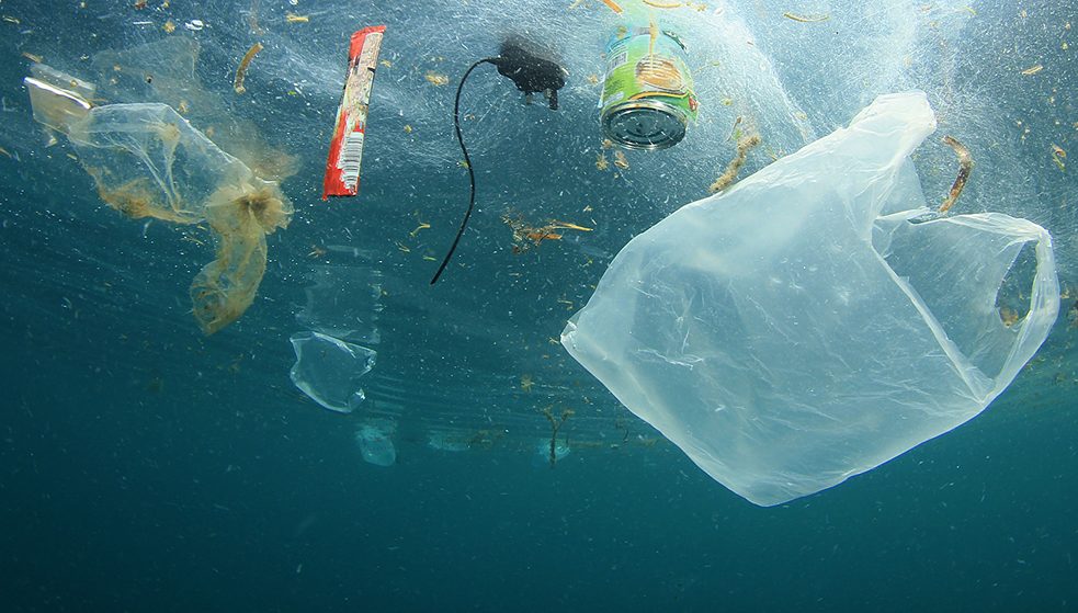 Čisté pobřeží pro moře bez plastu
