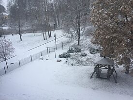 Schnee in meinem Garten