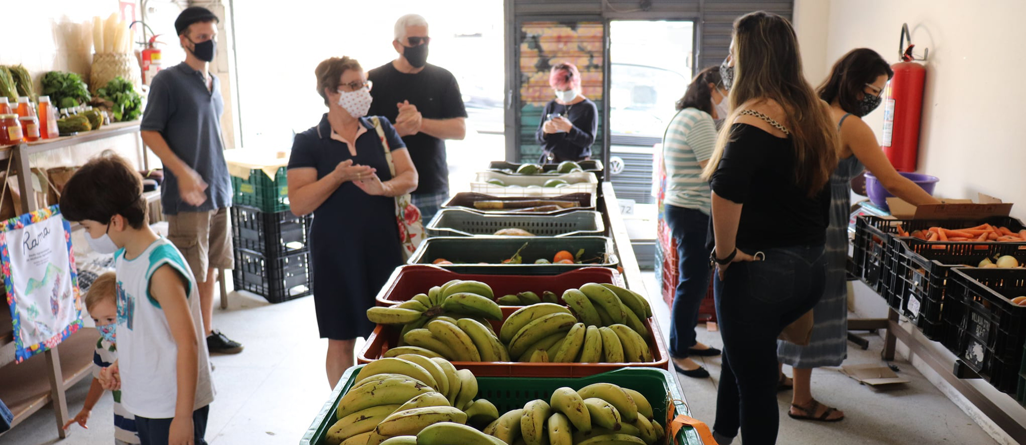 How São Paulo Provides Healthy Food for Those in Need - Zeitgeister ...