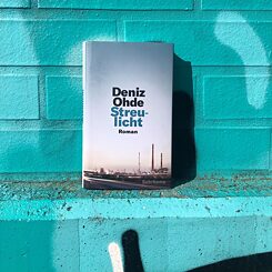 Bogomslaget til Deniz Ohdes roman "Streulicht" foran et blågrønt væg.