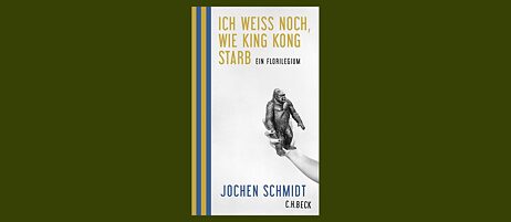 Jochen Schmidt : Lob der Bommelmütze