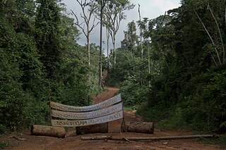 Umweltschützer*innen demonstrieren gegen die illegale Abholzung des Regenwaldes im Reservat PDS Esperança, wo Schwester Dorothy Stang 2005 ermordet wurde. Anapu, Bundesstaat Pará, Brasilien, 2011. 