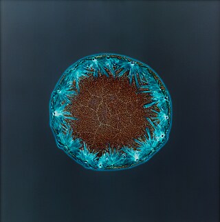 Sarah Schönfeld, All You Can Feel/ Planets, kétamine, 2013, kétamine négatif photo, agrandi en c-print , 70 x 70 cm