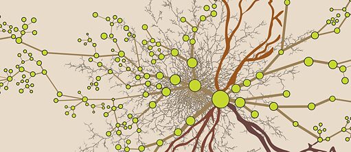 Hornbeam Hub: Celebrating Kansas City Tree Networks 