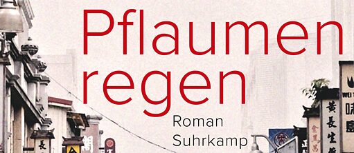 Stephan Thome: „Pflaumenregen“ (2021)