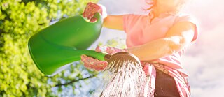A woman with a watering can © © Adobe Stock watering can