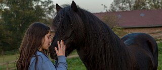 Ein Mädchen umarmt den Kopf eines Pferdes