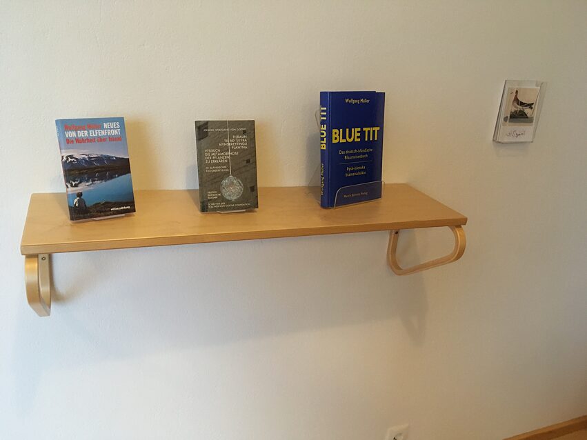 Three books on a shelf