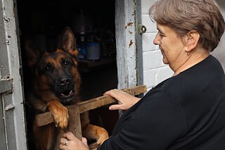 Nadija Vasylivna a jej ovčiak Rex. Zvieratá nemôžu opustiť uzavretú zónu, pretože v ich srsti sa môžu nachádzať rádioaktívne častice.