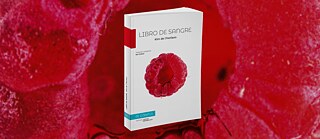 Libro de sangre de Kim de l'Horizon