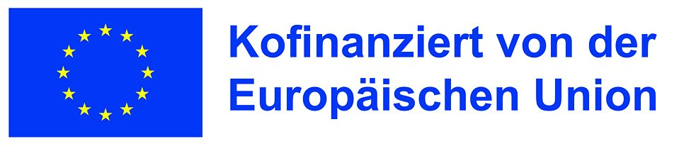 EU Amif logo