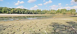 Ausgetrocknetes Flussbetts aufgrund anhaltender Dürre