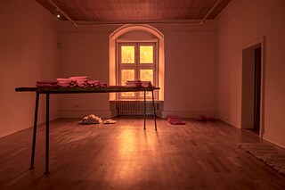 Tomás Espinosa and Red Comunitaria Trans, social poetics* at Kunstverein Göttingen, 2021