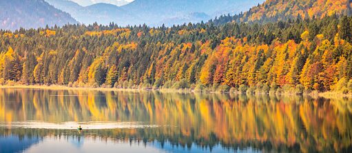 Deutschland Naturbild Wald See