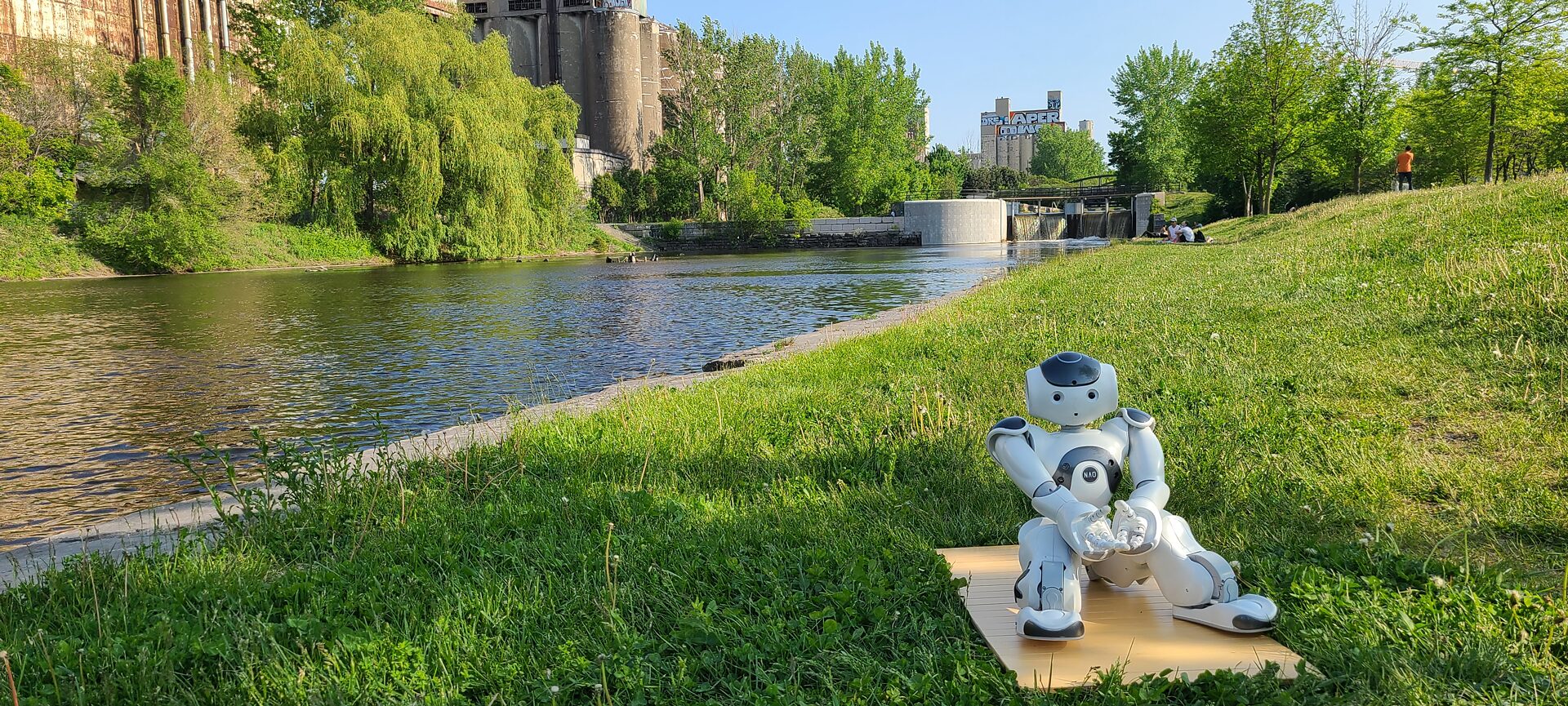 Robots Algorithms - Robot in Goethe-Institut
