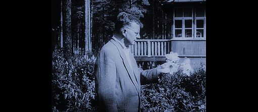 Shostakovich with lilies Still