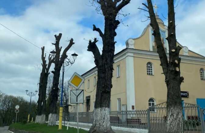 Кронування дерев у Львові