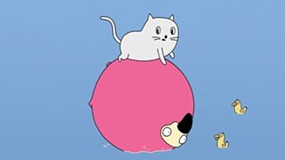 Katze auf rosa Ball, im Wasser 