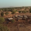 Filmstill aus „Der Waldmacher”: kleines afrikanisches Dorf, umgeben von Bäumen © Foto: © Weltkino Filmverleih GmbH Der Waldmacher
