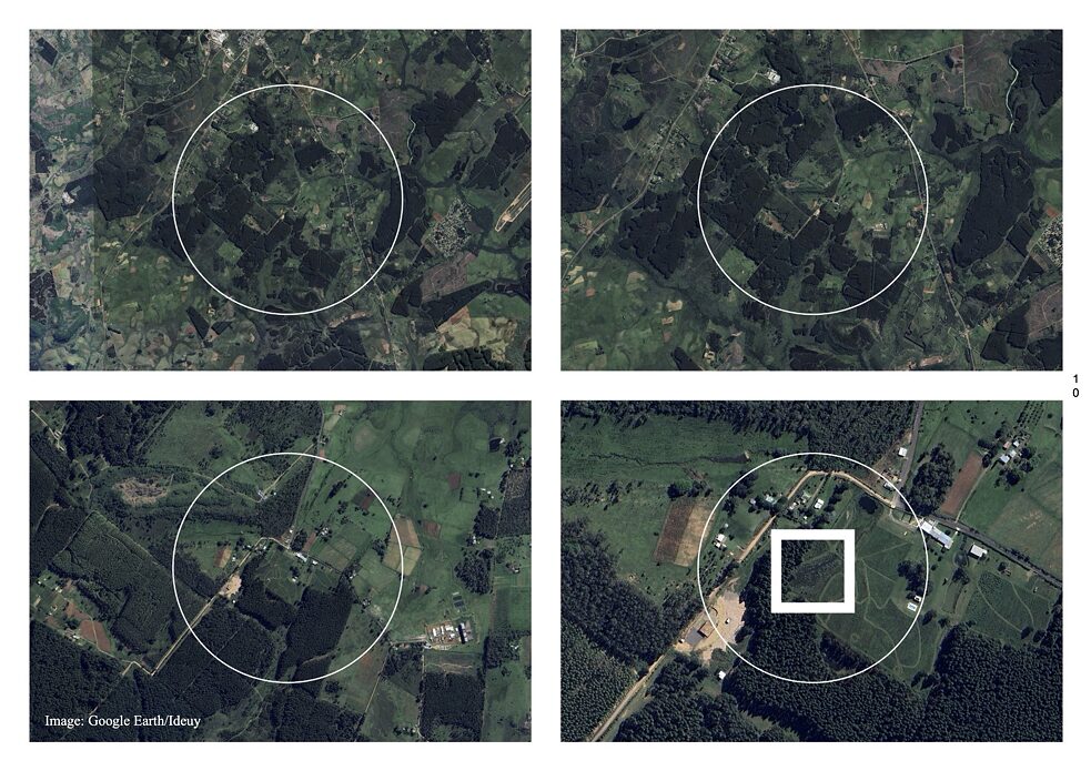 Satellite images (detail)