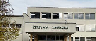 Vilniaus Žemynos gimnazija
