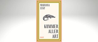 Book cover: Kummer aller Art