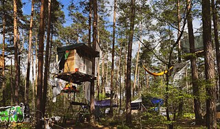 The photo shows a tree sit in a pine forest. Several wooden structures and hammocks can be seen.