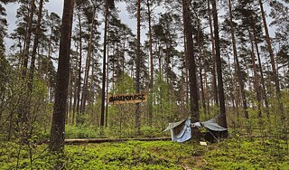 The photo shows the awareness space of a forest occupation in a pine forest. Several tarpaulins can be seen, a wooden sign says "AWARENESS".