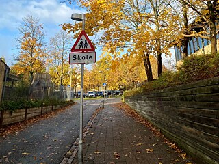 Auf dem Weg in die Skole