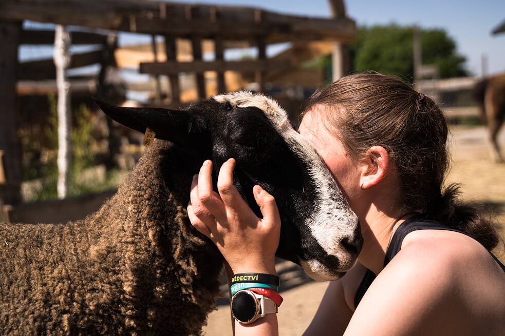 Dobrovolnice Andy jezdí na Farmu Naděje pomáhat o víkendech a v létě na měsíc až na dva již několikátým rokem. Farmu i zvířata zná jako své boty.