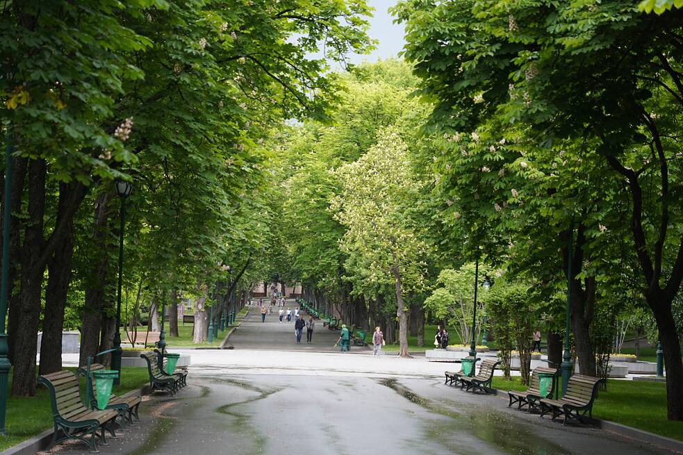 Im Schewtschenko-Park könnte man beinahe für eine Weile vergessen, dass Krieg ist – bis der dumpfe Klang von Explosionen zu hören ist…