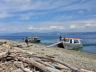 Kapiti Island – Es gibt nur zwei Tourunternehmen, die täglich maximal 160 Passagiere nach Kapiti Island bringen dürfen. Dies verhindert, dass die Insel von Menschenmassen überlaufen wird, die die Tierwelt stören.