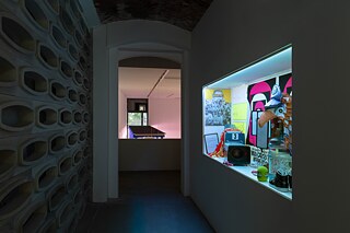 Installation view of the exhibition Michael Stevenson Disproof Does Not Equal Disbelief at KW Institute for Contemporary Art, Berlin 2021. Courtesy the artist