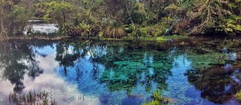 Spiegelung bei Te Pupu Springs