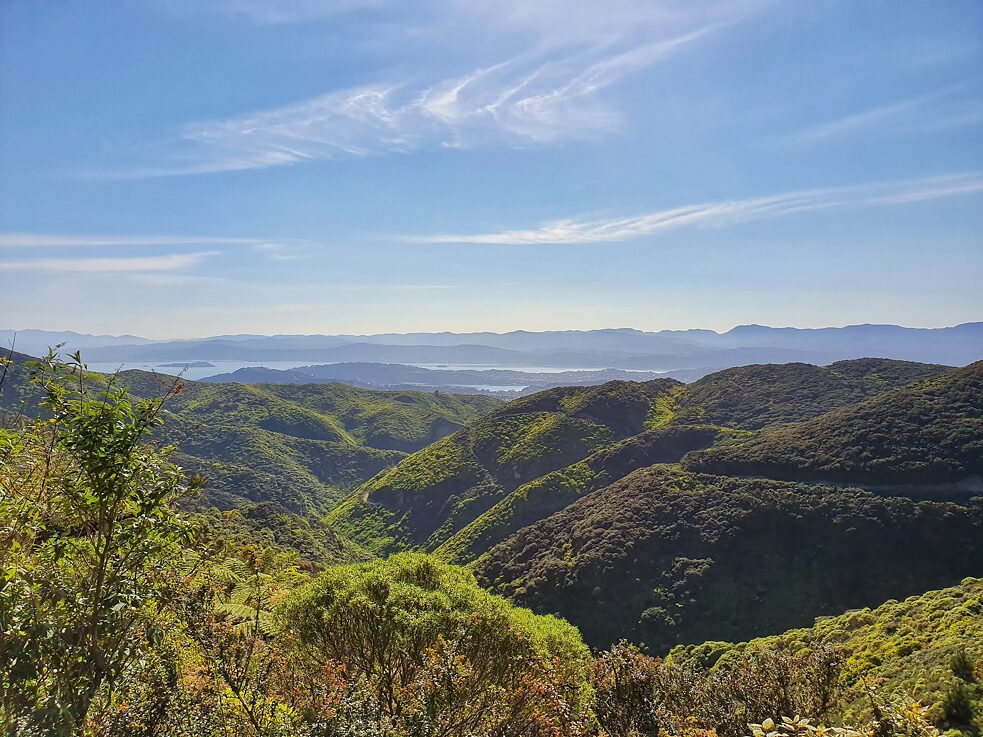 Wellington – Auch wenn Menschenmassen an vielen Reisezielen des Landes ein Problem sind, gibt es nichtsdestotrotz abgeschiedene Ecken, die leicht zu erreichen sind, wie etwa dieser Blick von einer Stelle nahe der Windkraftanlage in Wellington.