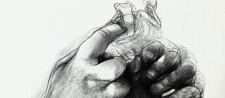 Zeichnung Hand mit Frosch