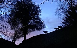 Auf dem Jakobsweg - Pilgern bedeutet, sich anders zu erleben