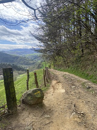 Die Wegbeschreibung variiert von gelben Pfeilen in Baskenland bis hin zu Kilometersteinen in Galicien, die die Entfernung zur Kathedrale in Santiago de Compostela genau angeben.