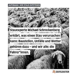 Text auf Bild: "Stauexperte Michael Schreckenberg erklärt, was einen Stau verursachen kann: Baustellen, Unfälle und Wetter gehören dazu – und wir alle: die Fahrer*innen."  Bild: Schwarz-weiß Bild von sehr vielen Schafen.