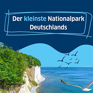 Auf dem Foto sieht man links einen Kreidefelsen und Wald, rechts das Meer und eine Möwe, die übers Wasser fliegt. Darüber steht: "Der kleinste Nationalpark Deutschlands"